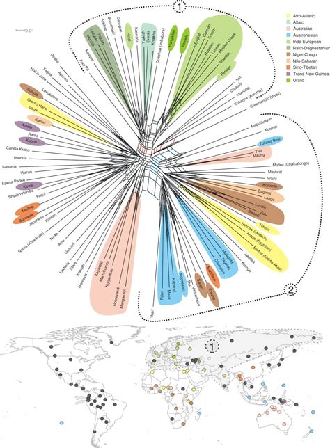 Language Evolution